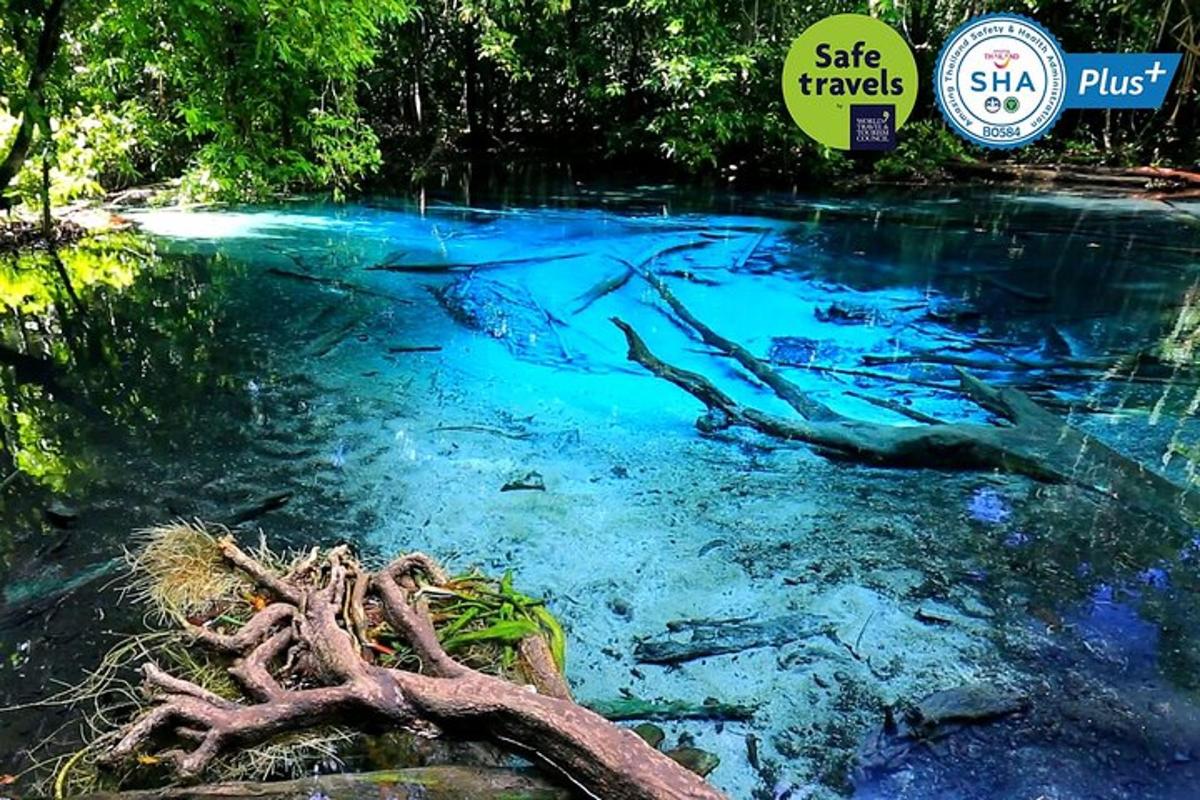 una piscina di acqua blu con alberi al suo interno