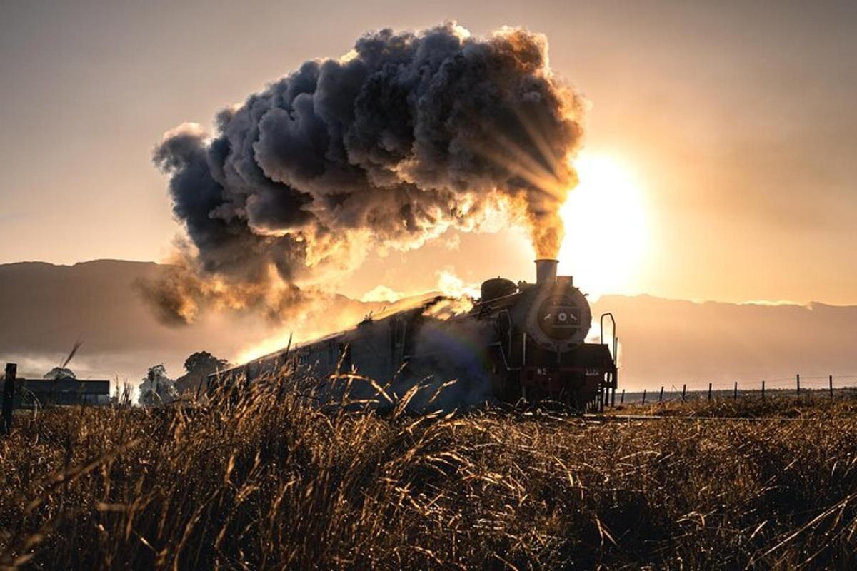 a steam train emitting smoke in a field