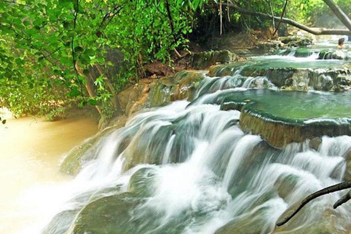 una serie di rapide su un fiume con alberi