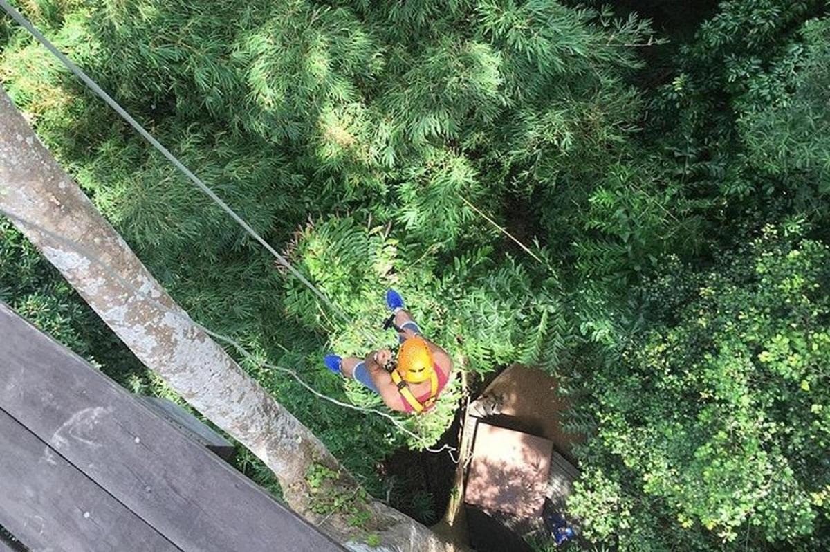 pohled shora na muže pracujícího v trávě