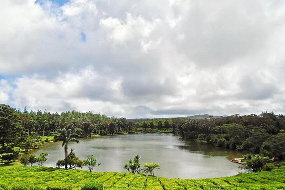 sungai besar dengan pokok dan langit mendung