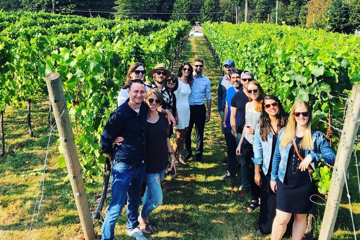 a group of people walking through a vineyard