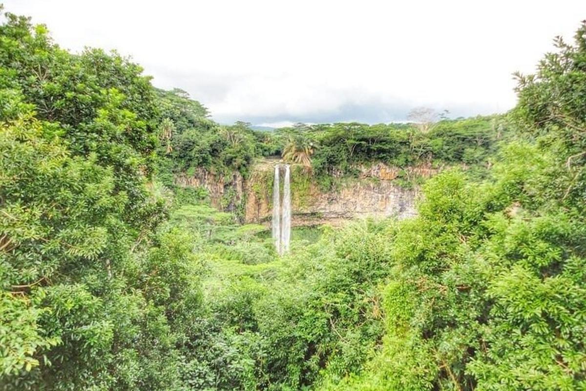 a waterfall in the middle of a forest