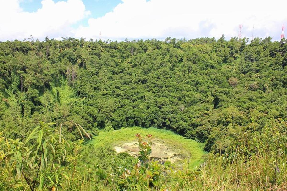 un campo verde in mezzo a una foresta