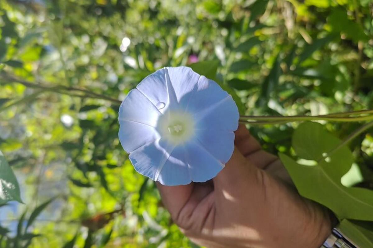 Lankytinos vietos ar pramogos nuotrauka numeris 4