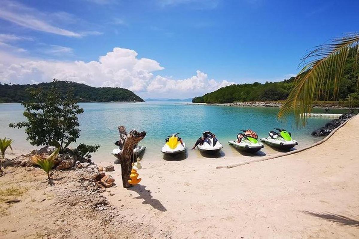 Un grupo de barcos en una playa