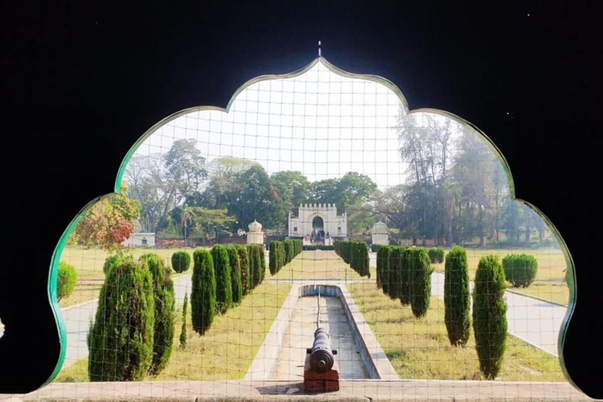 a view of a garden through a glass window