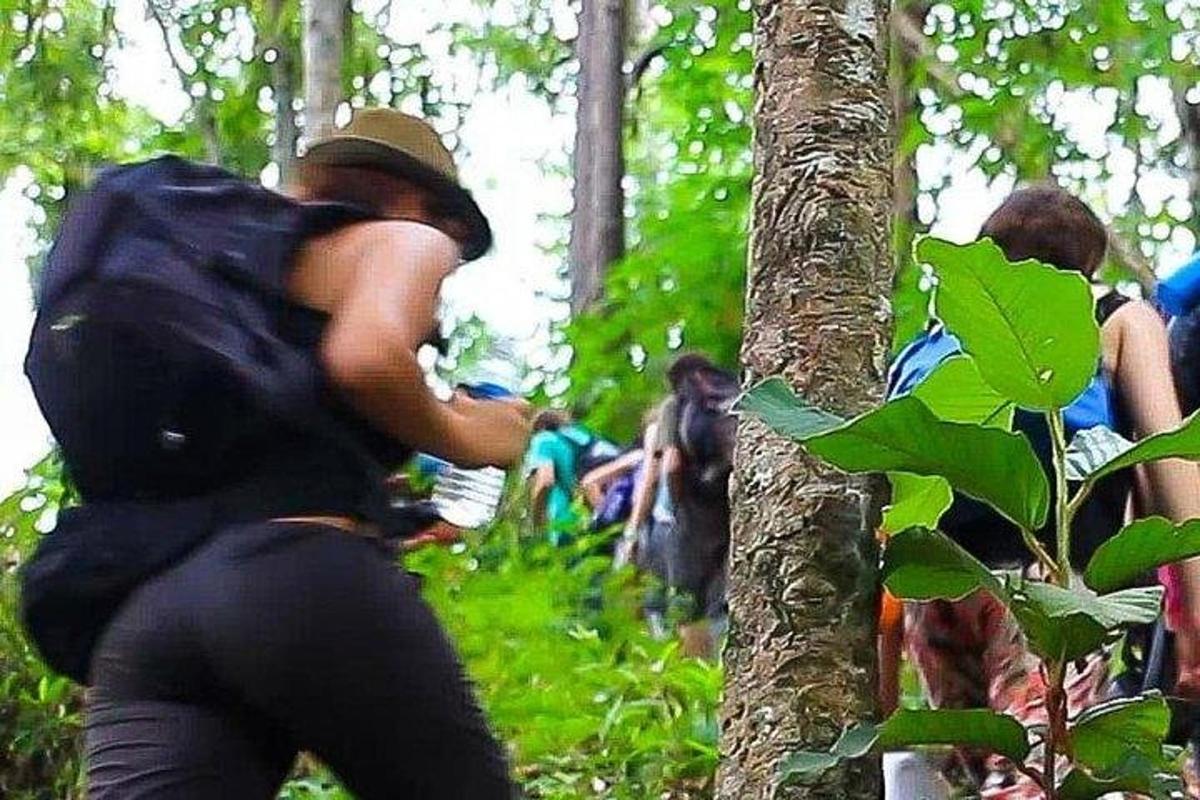 uma pessoa com uma mochila subindo em uma árvore