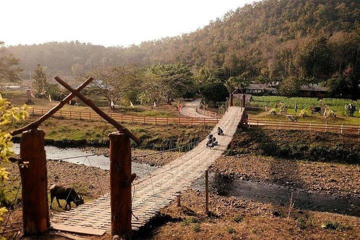 een hangbrug over een rivier met twee dieren die eroverheen lopen