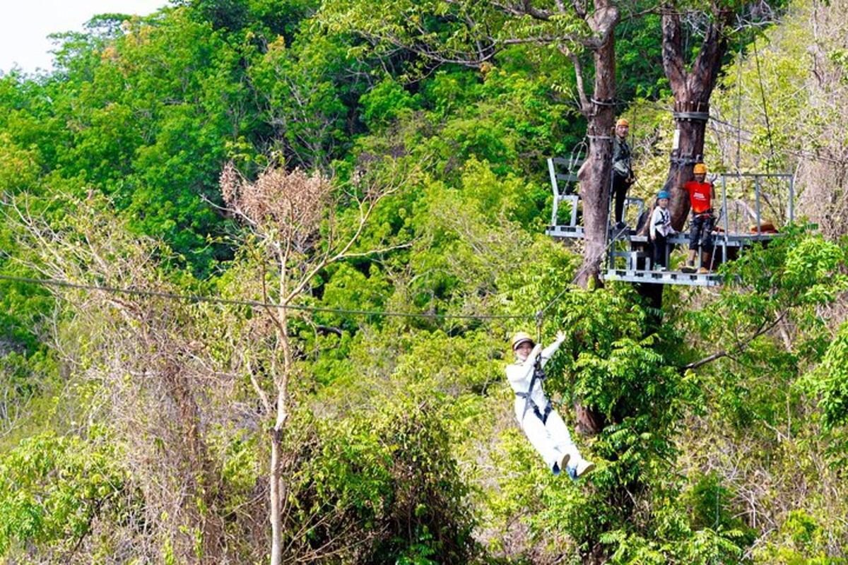 a group of people on a zip line in the trees