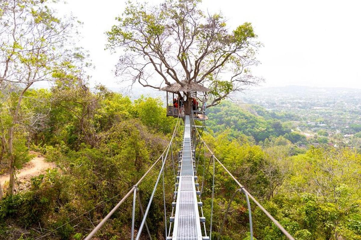 un ponte sospeso su una montagna nella foresta