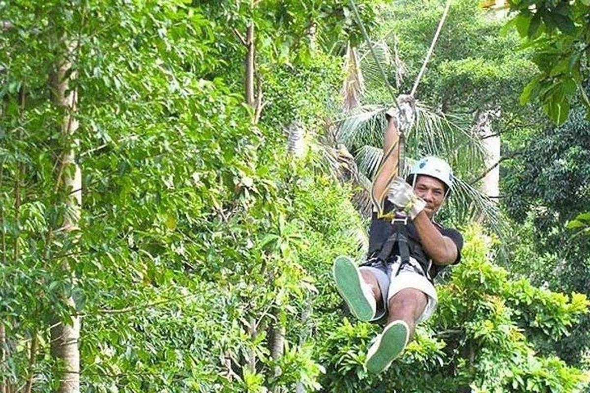 un uomo sta lanciandosi con la teleferica tra gli alberi