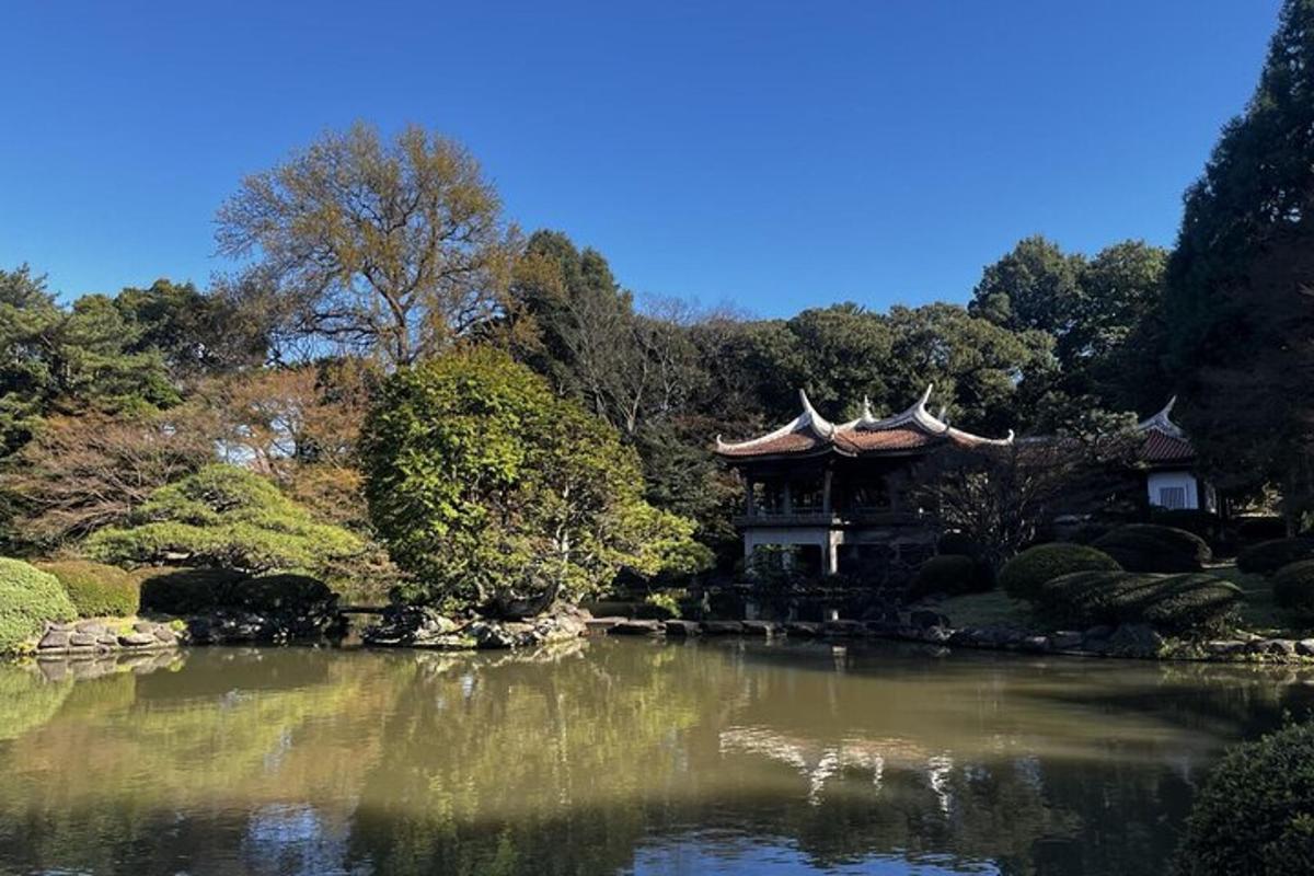 Un jardín con un estanque delante de un edificio.