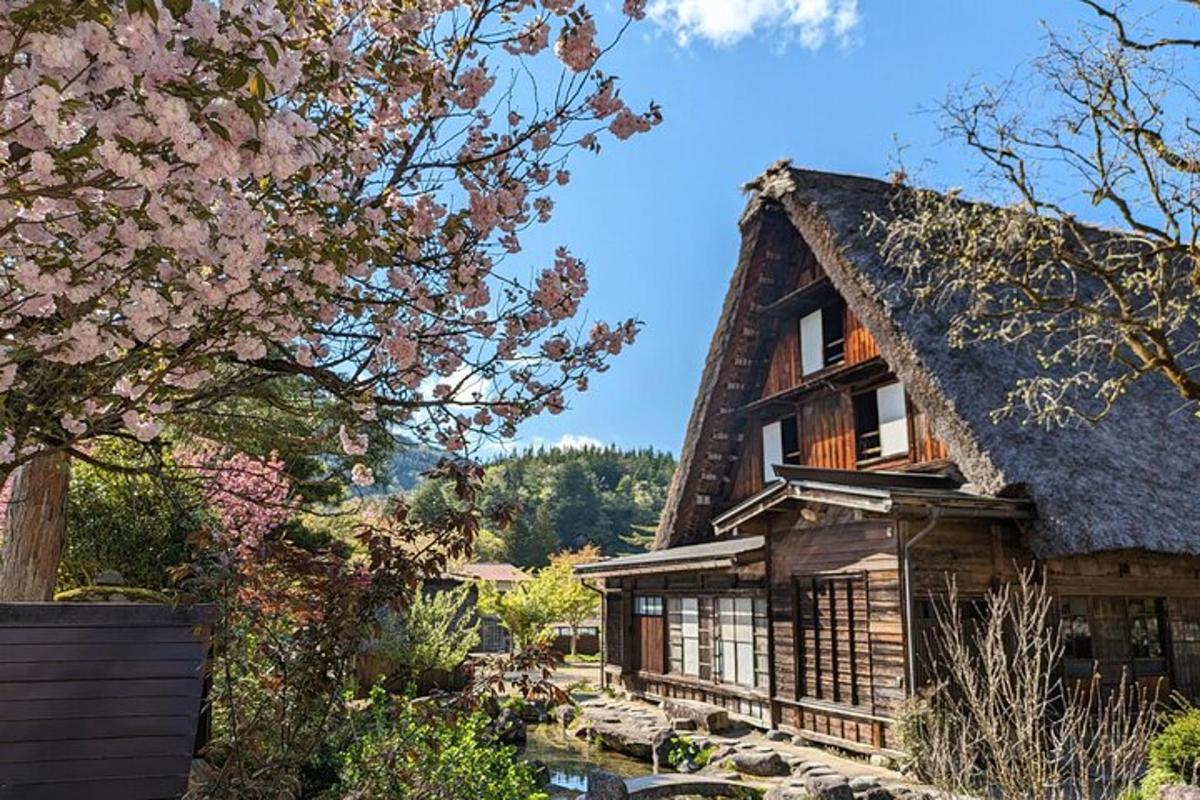 a large house with a flowering tree in front of it