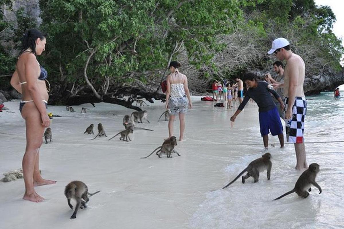 a group of people standing on a beach with monkeys