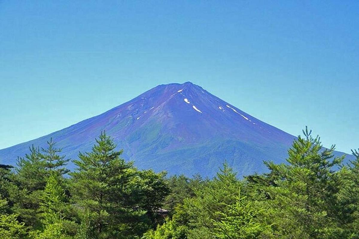 una montagna in lontananza con alberi in primo piano