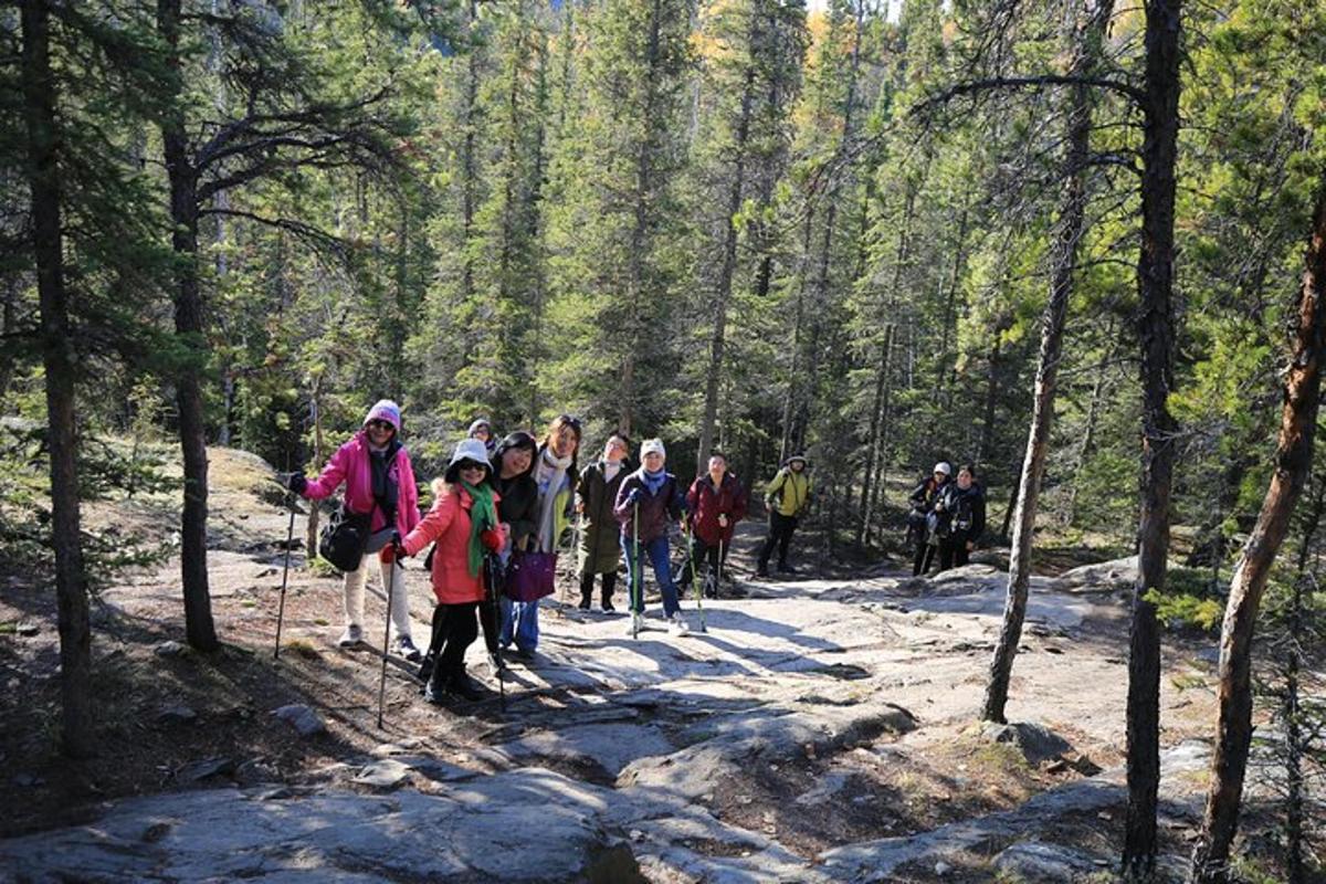 a group of people walking on a trail in the woods