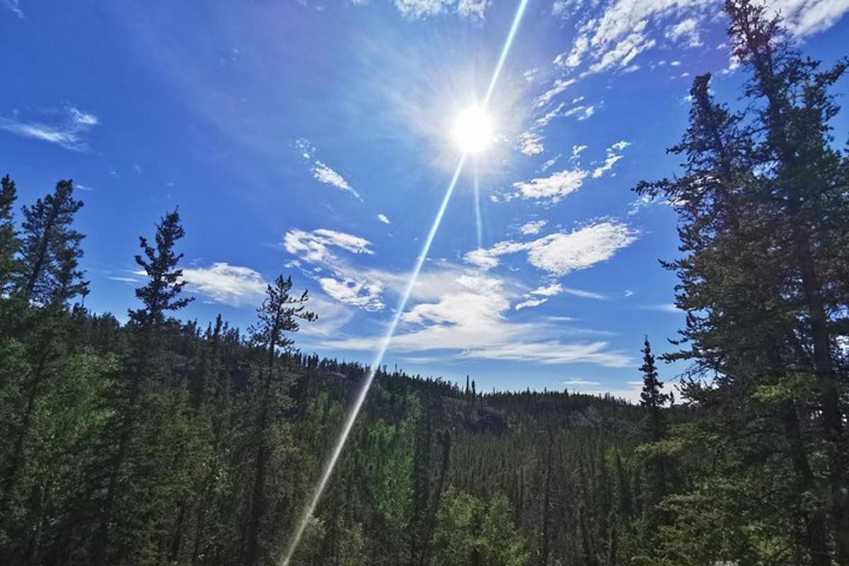 a sun shines in the sky over a forest