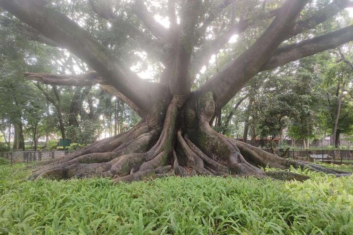 Foto 1 de l'atracció turística