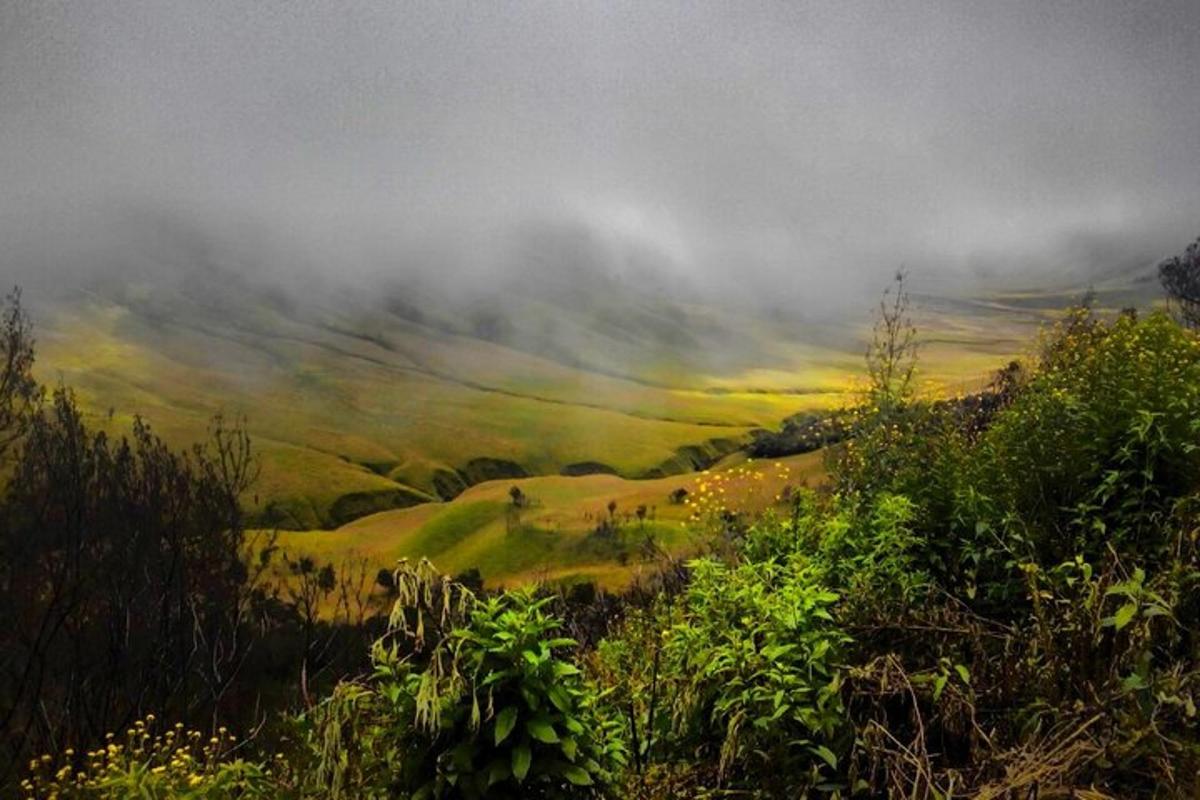 a painting of a rolling hills with a cloudy sky