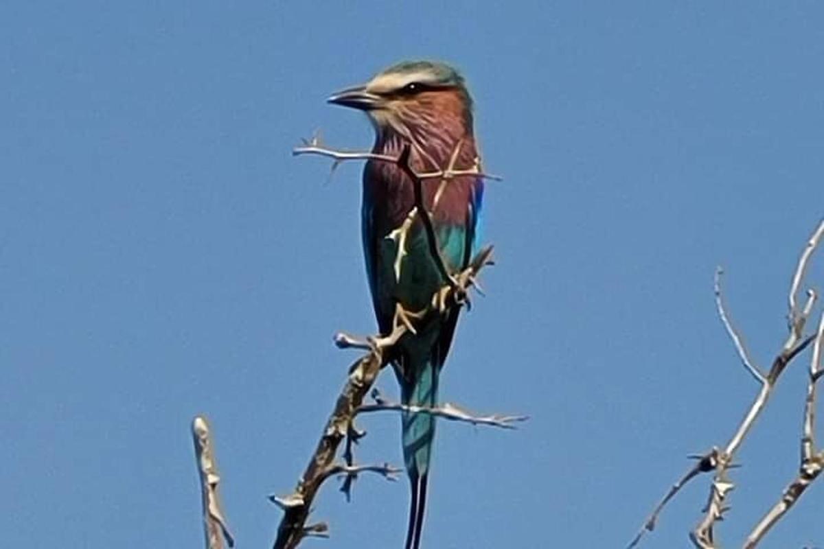 Fotografia da atração 7