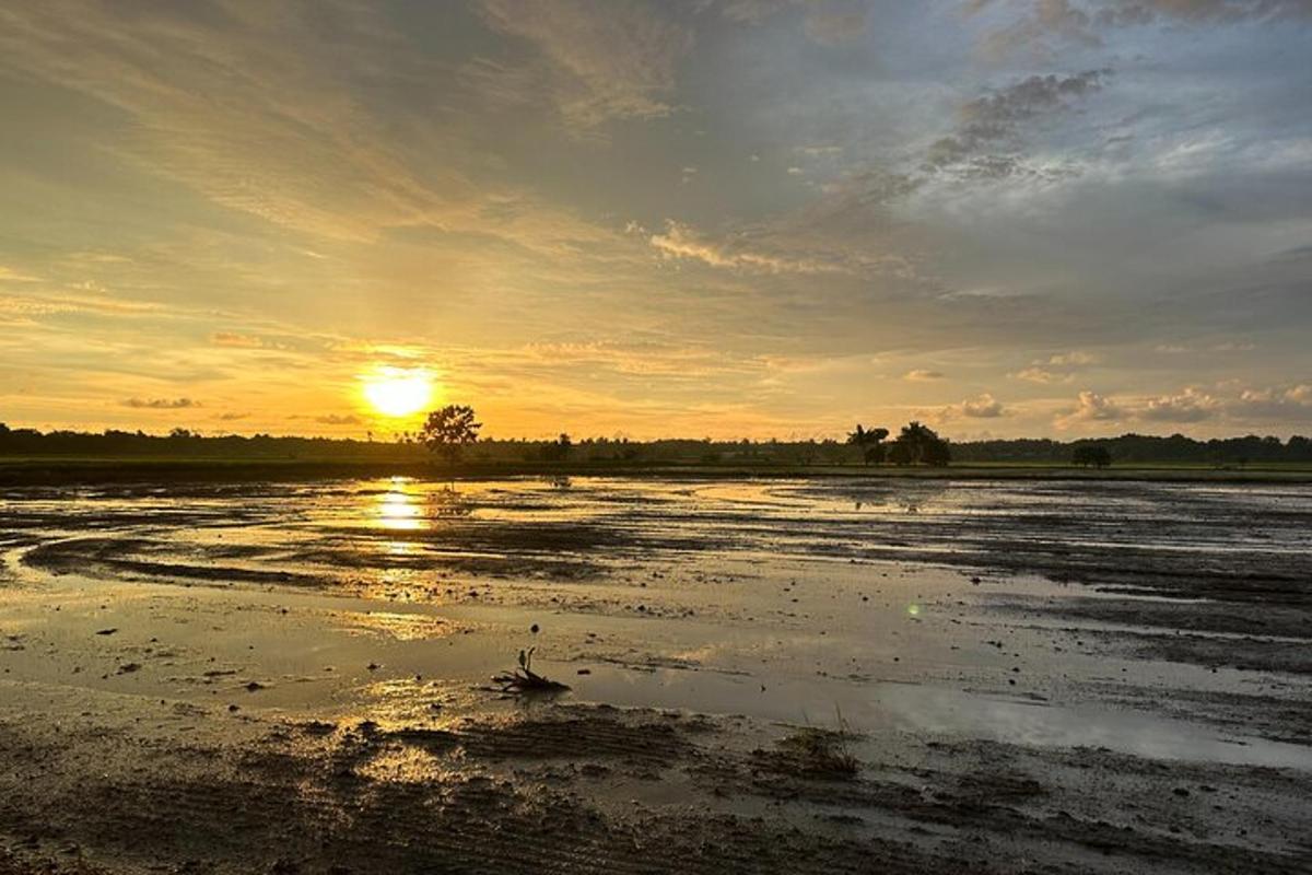 Fotografia da atração 2