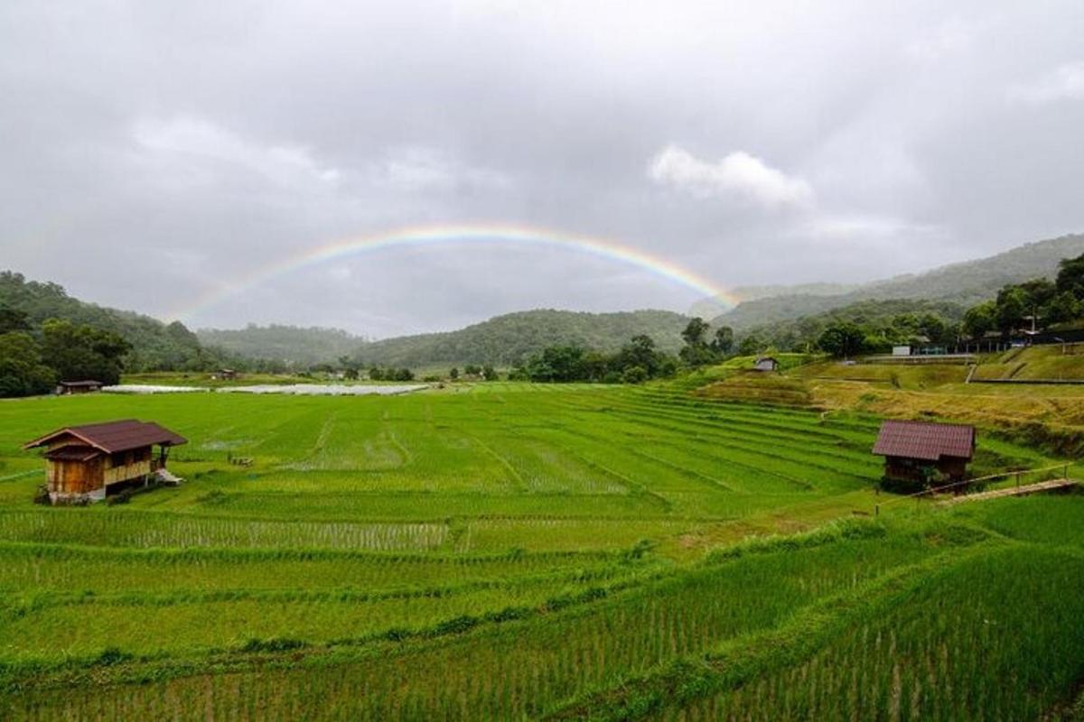 a rainbow over a green field with
