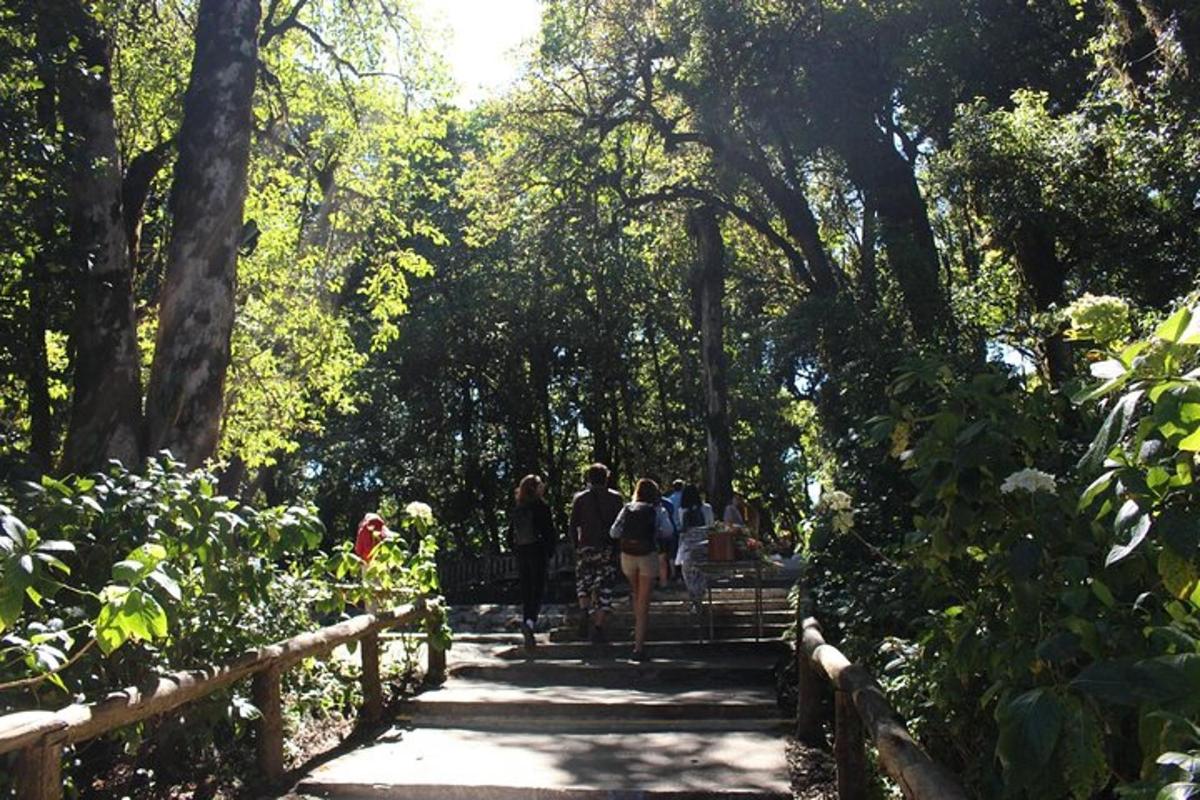 um grupo de pessoas caminhando por um caminho em um parque