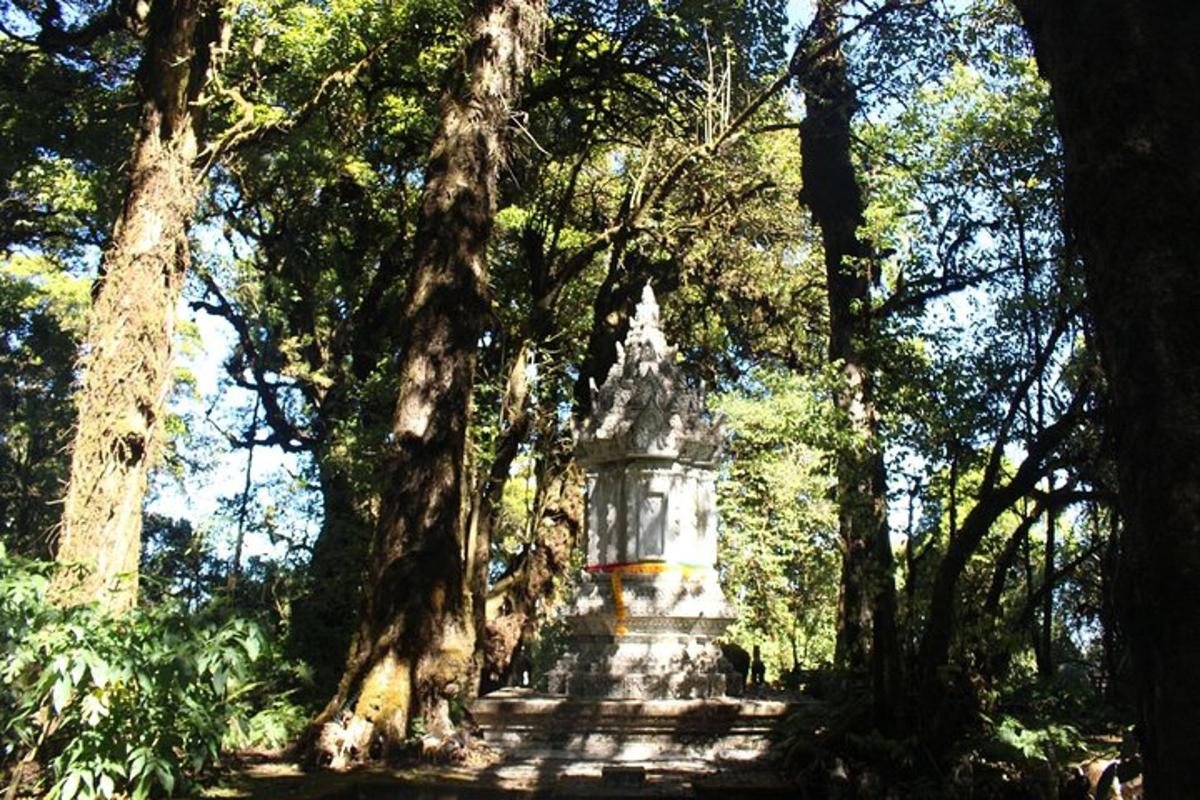 um monumento de pedra no meio de uma floresta