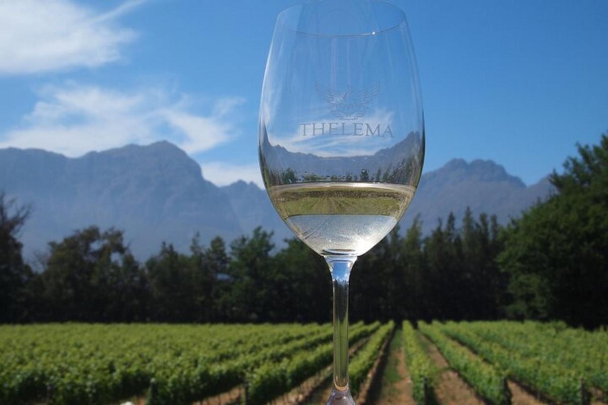 a glass of white wine in front of a vineyard