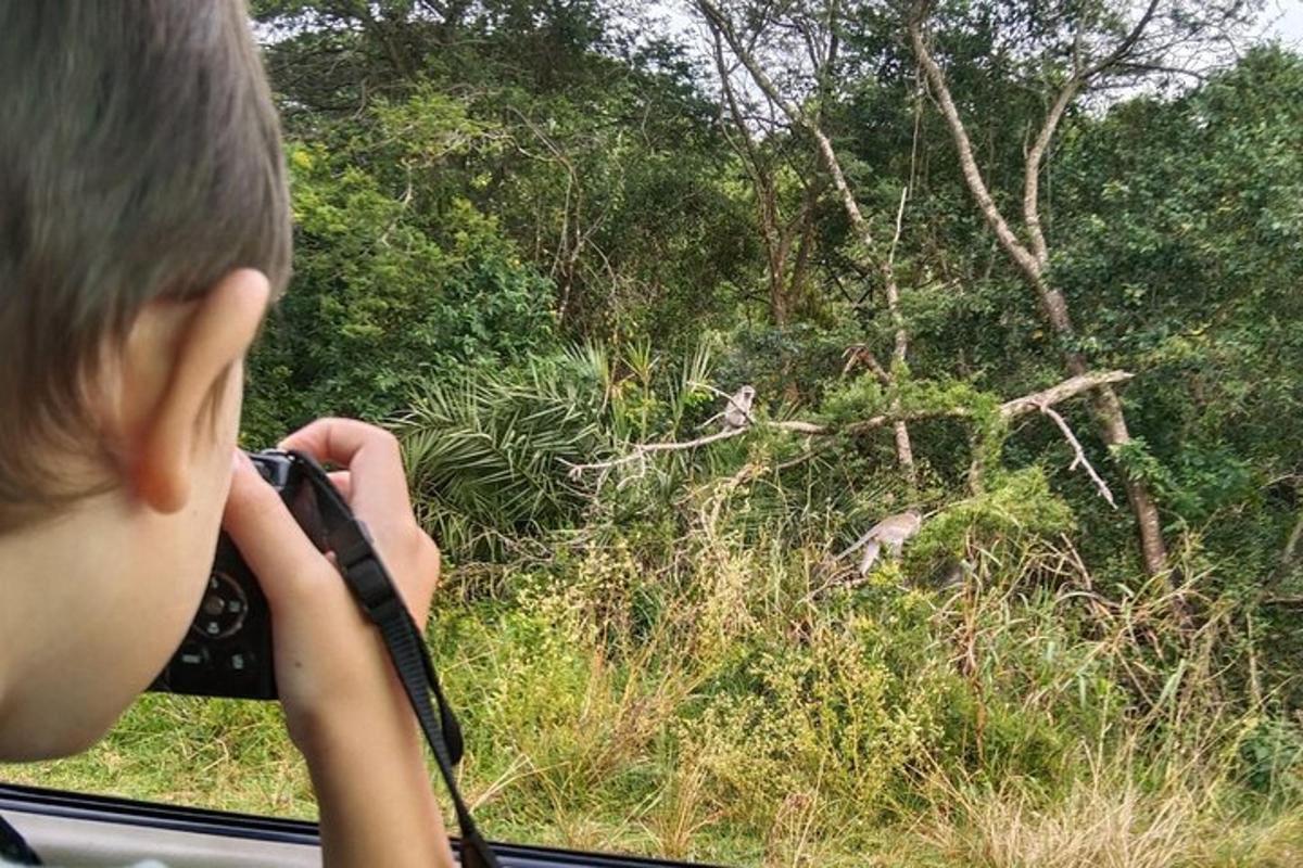 a boy taking a picture of a bird from a bus window