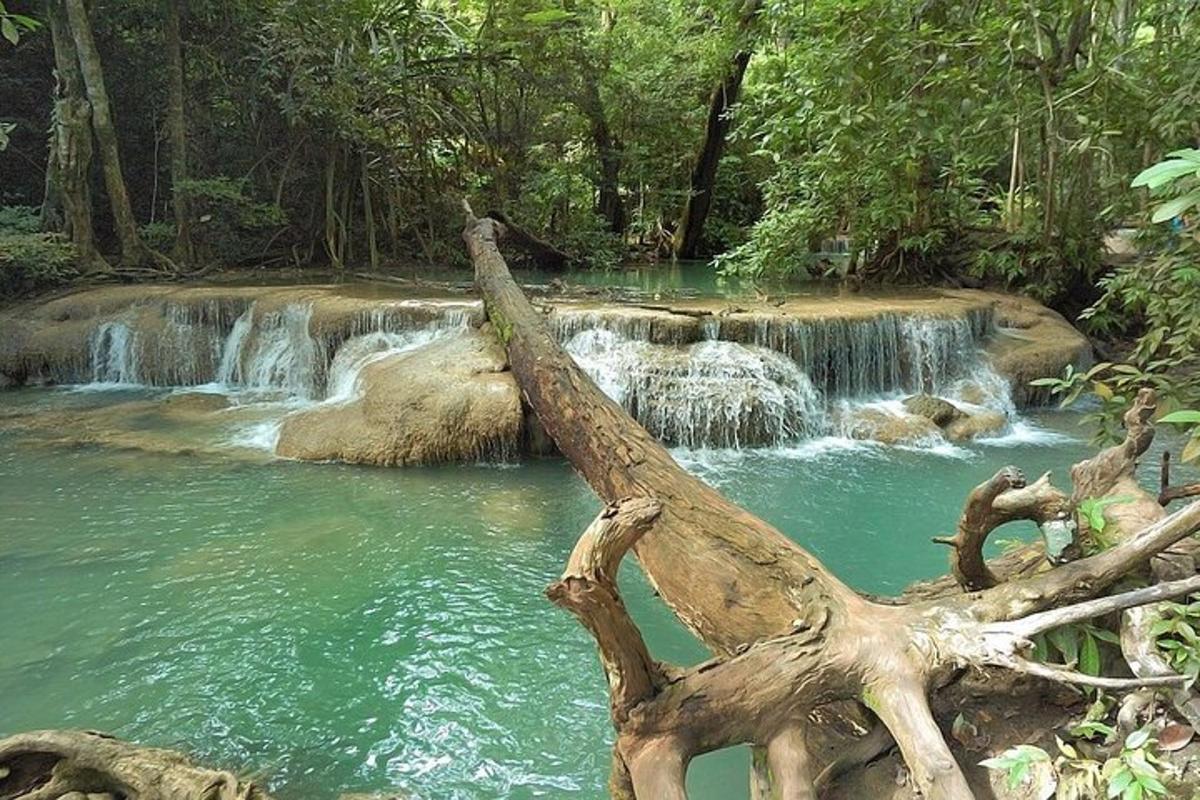 pokok tumbang di hadapan air terjun di dalam hutan