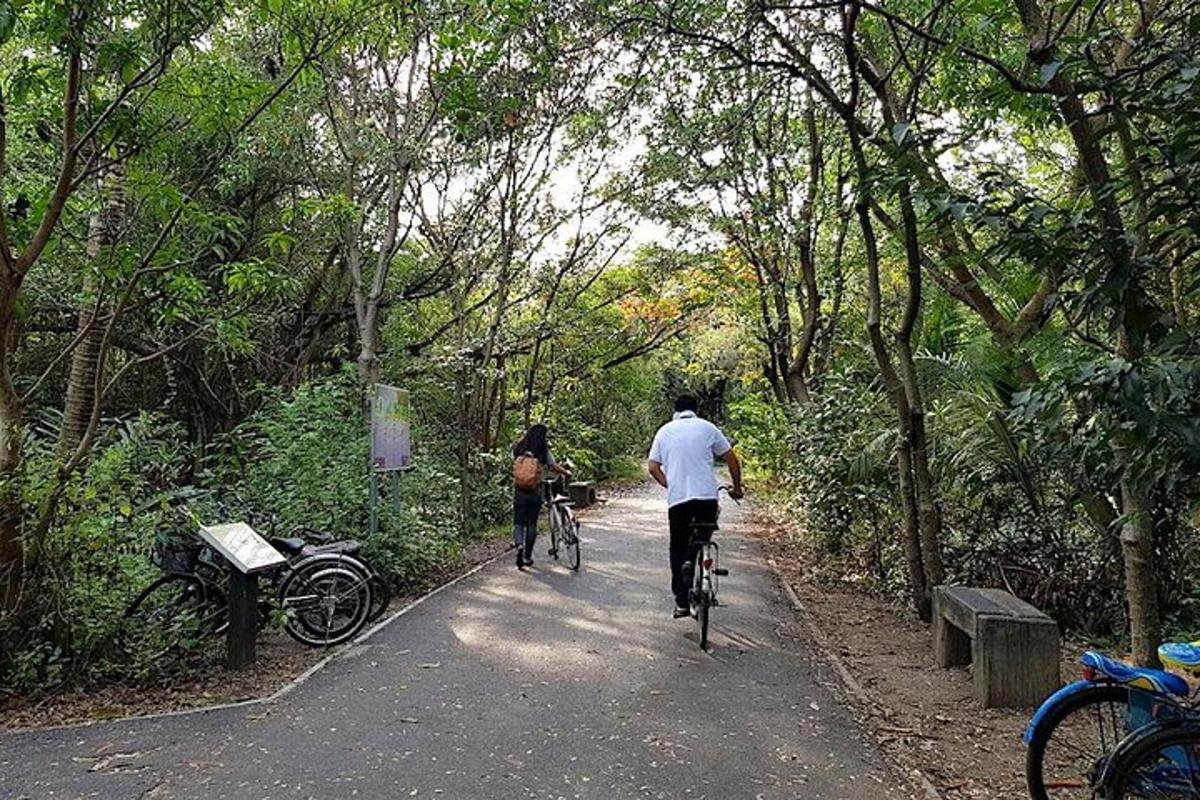 două persoane mergând cu bicicleta pe o potecă într-o pădure