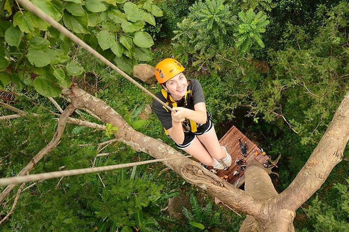 seorang wanita sedang memanjat pokok dengan zip