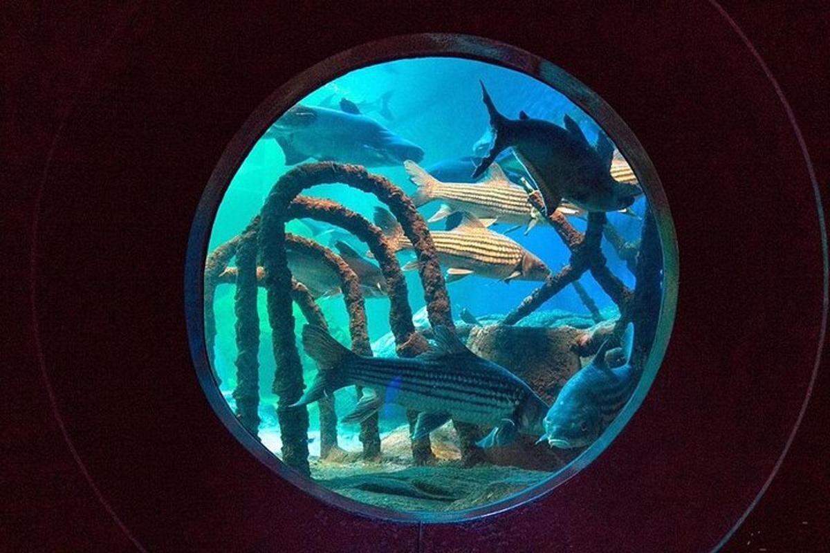 Attraction picture 7