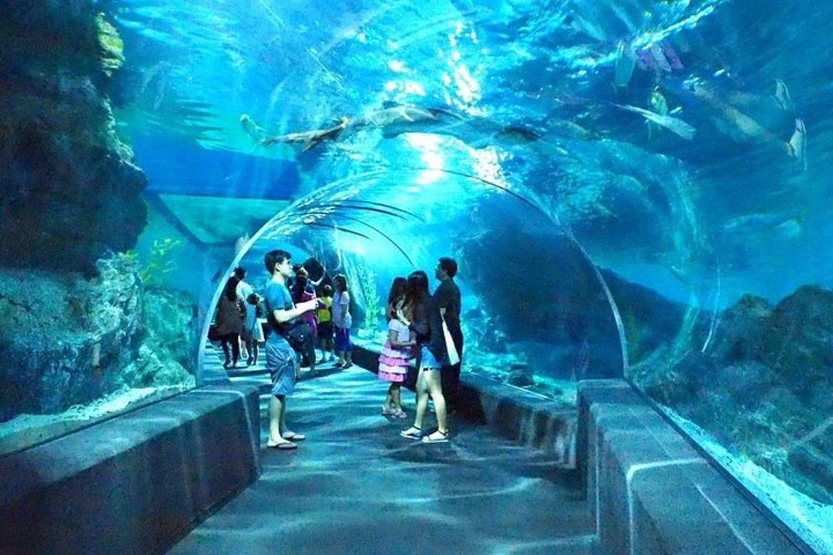 ภาพถ่ายสิ่งที่น่าสนใจภาพที่ 5