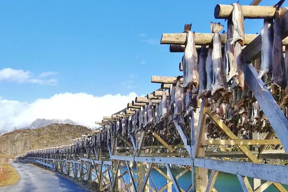 a wooden bridge over a body of water