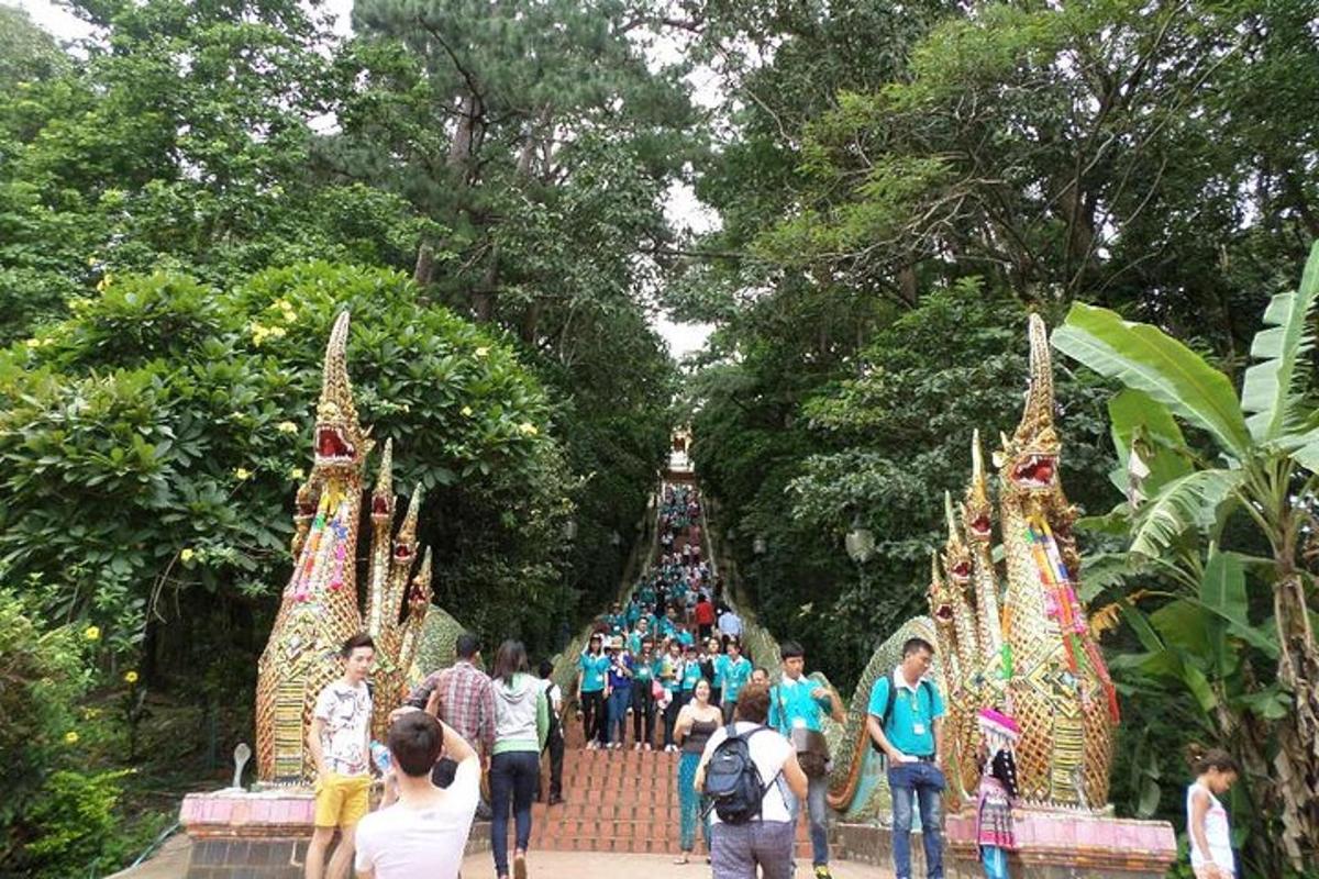 sekumpulan orang berjalan melalui sekumpulan pokok