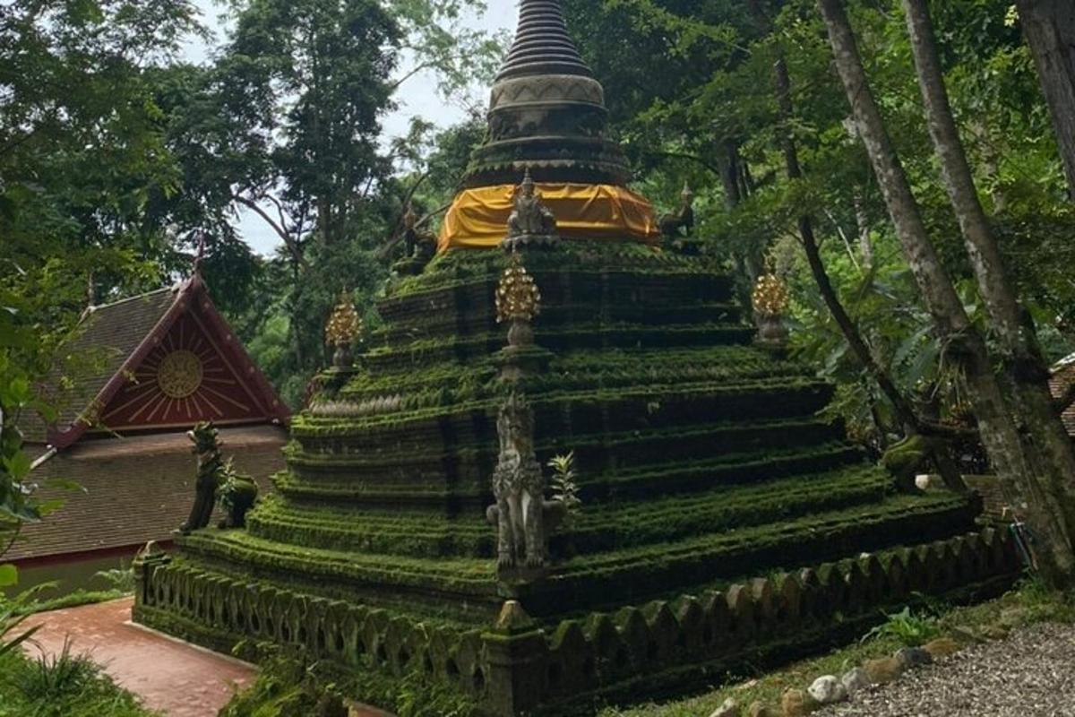 pagoda besar di taman dengan tumbuh-tumbuhan hijau