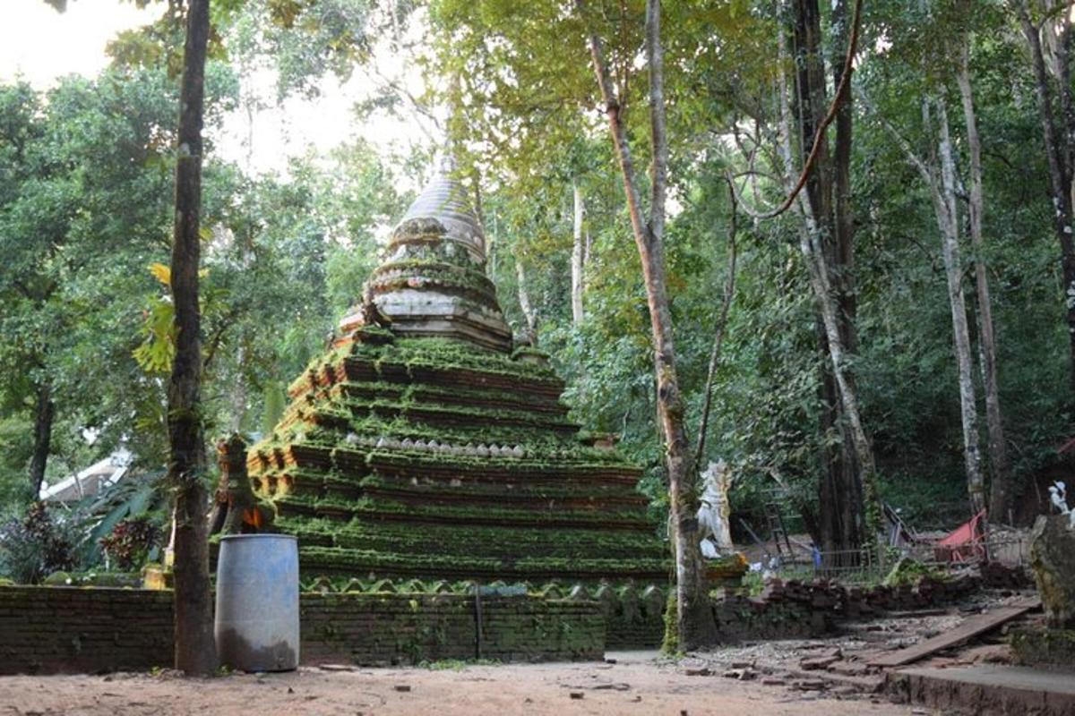 velká pagoda uprostřed lesa
