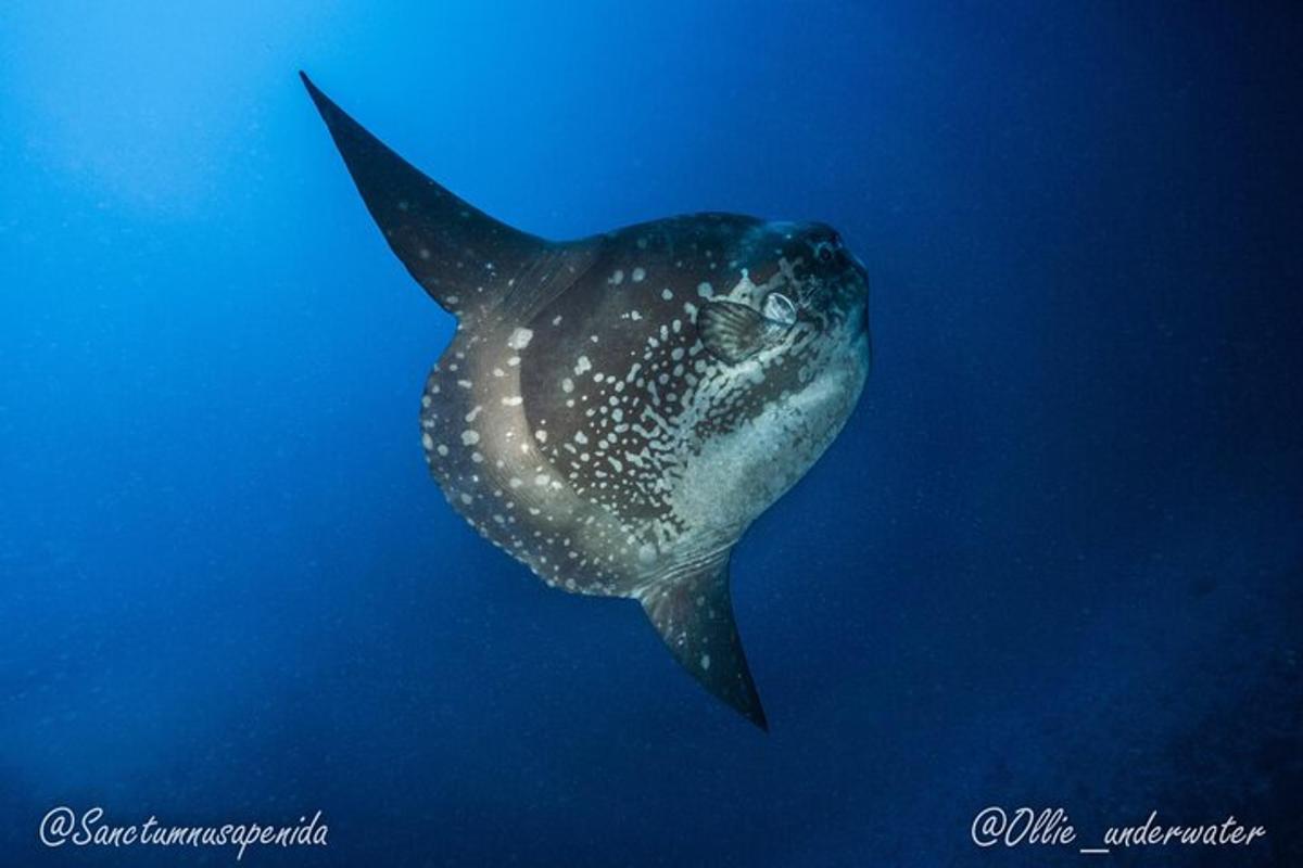 Fotografia da atração 3