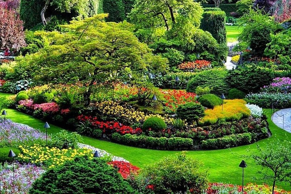さまざまな色の花や木々が生い茂る庭園