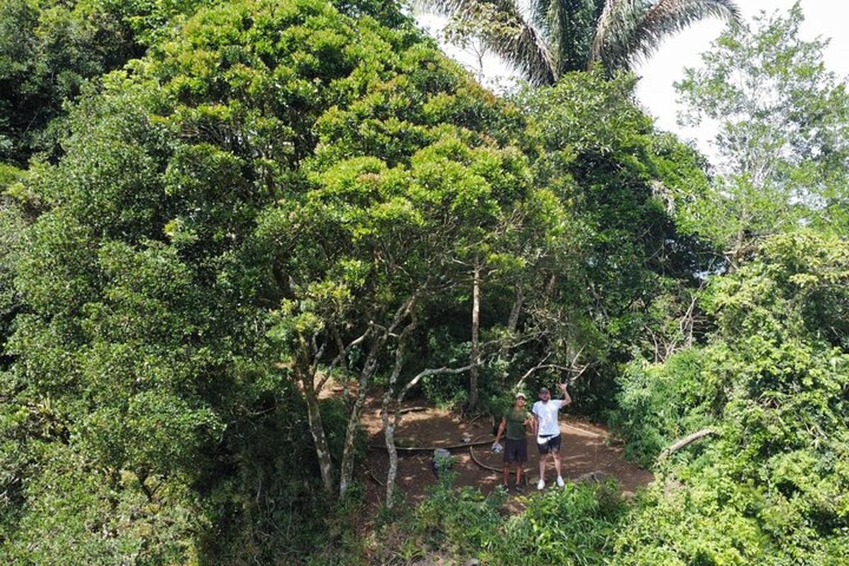 dues persones dempeus al mig d'un bosc