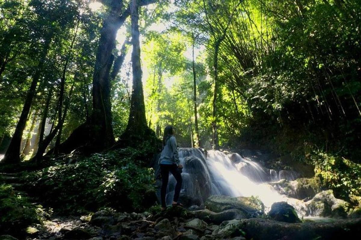 eine Person, die neben einem Wasserfall in einem Wald steht