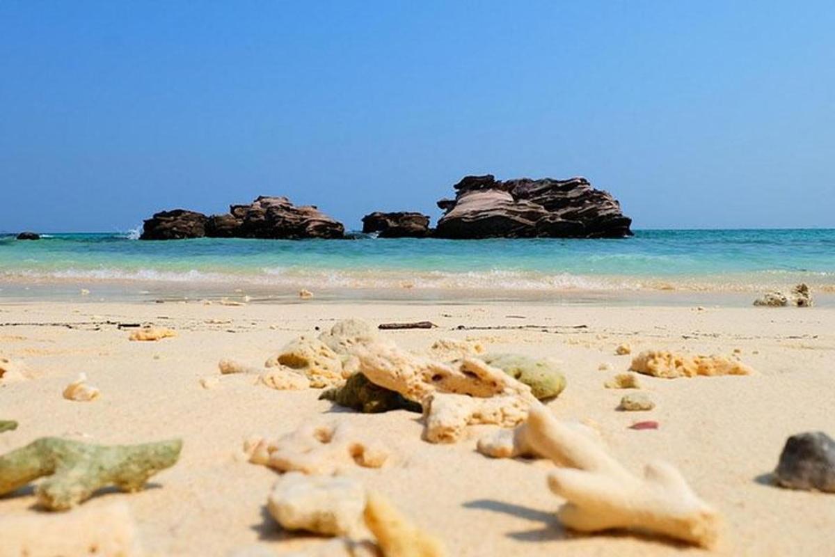 a sandy beach with rocks and the ocean