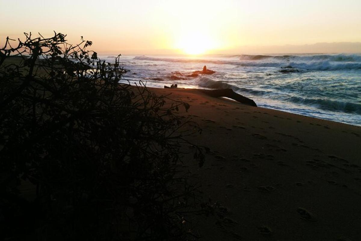 Fotografia da atração 4