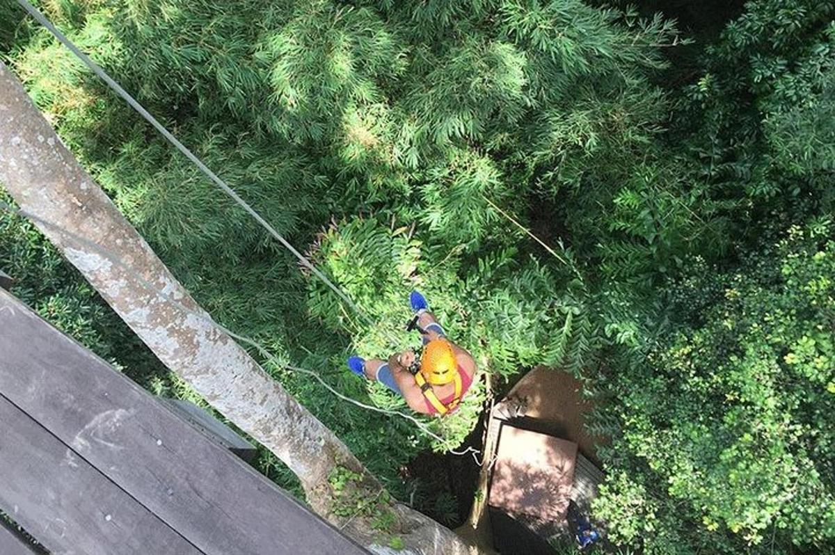 uma visão aérea de um homem trabalhando na grama