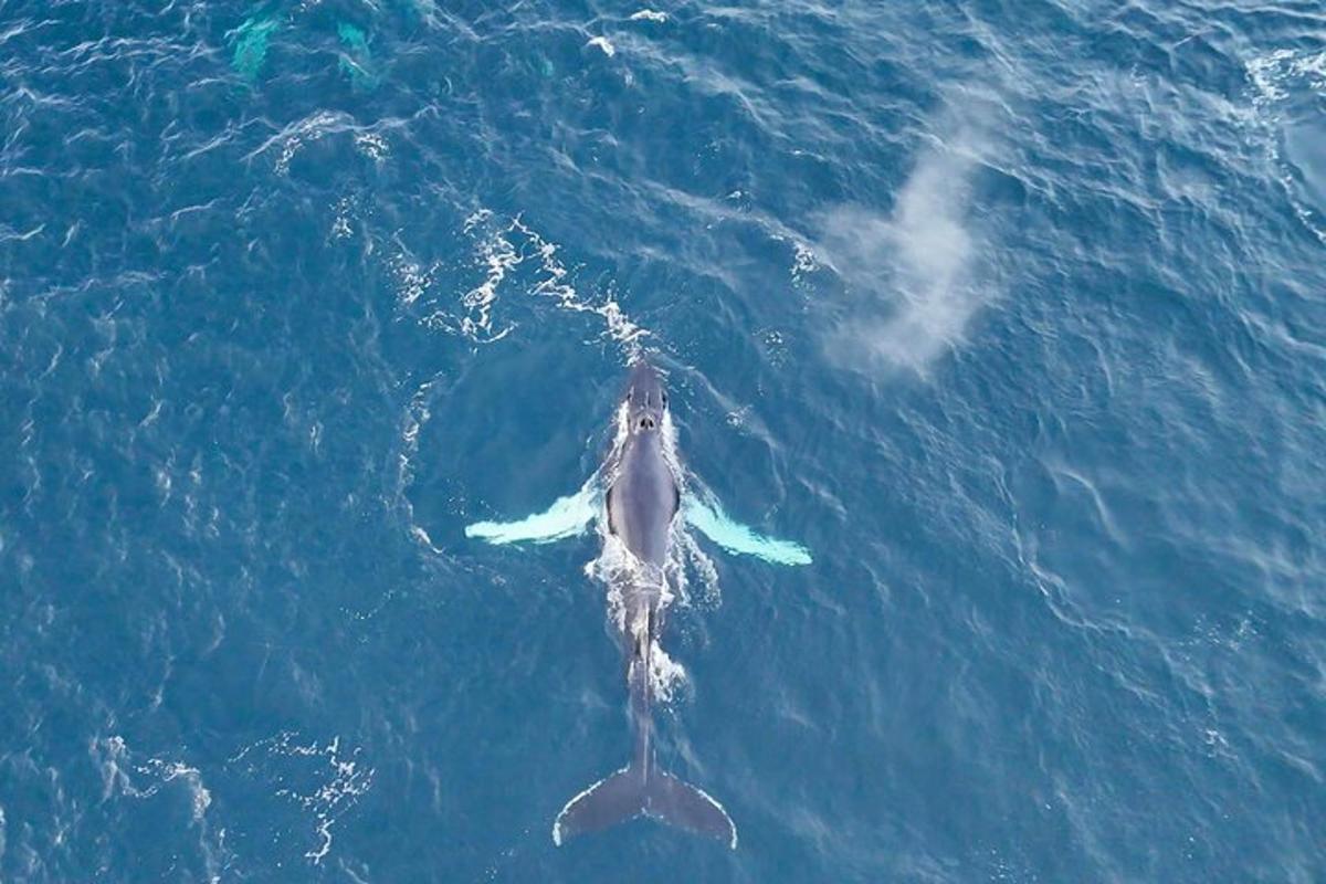 Lankytinos vietos ar pramogos nuotrauka numeris 1