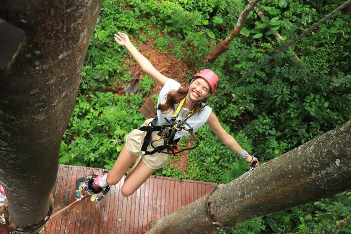 dívka na zip line ve stromě