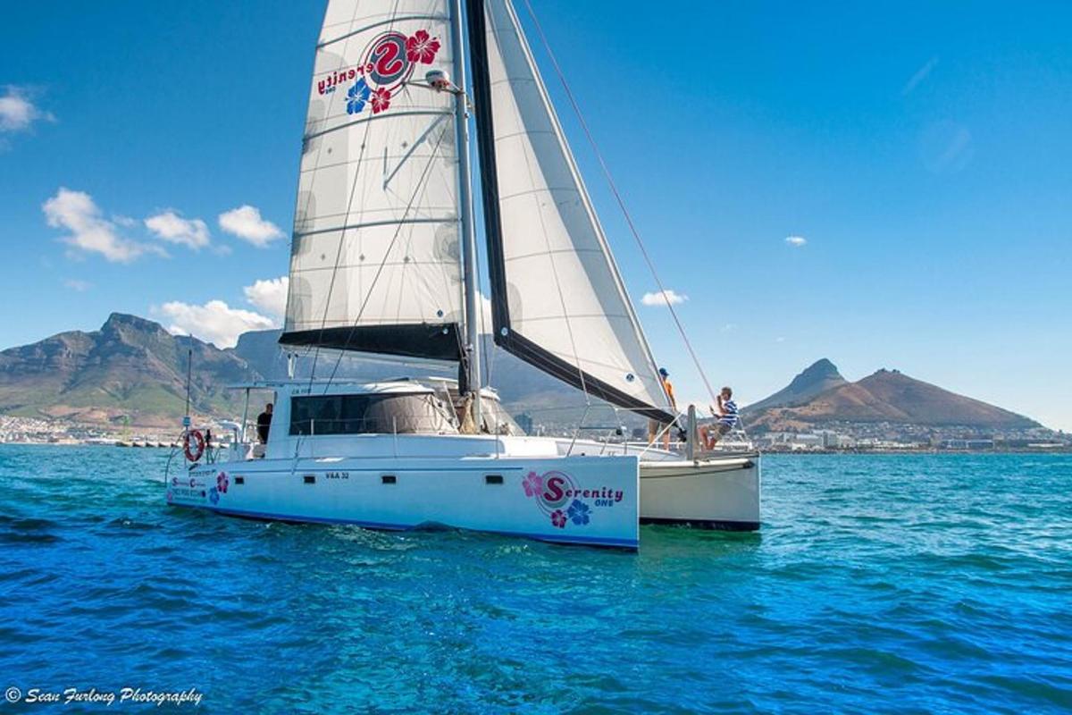 a white sail boat in the water on the ocean
